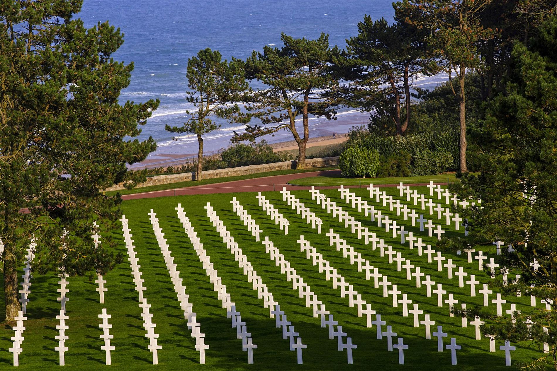 Utsikt gjennom furutrærne over rad på rad med hvite kors, ned mot Omaha Beach og havet